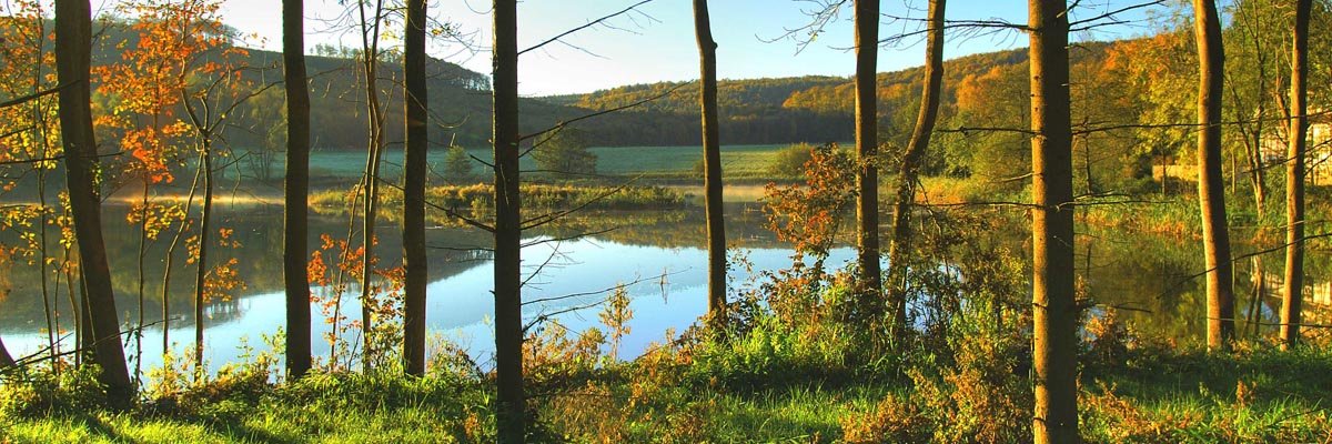 Tetzelstein Viewpoint