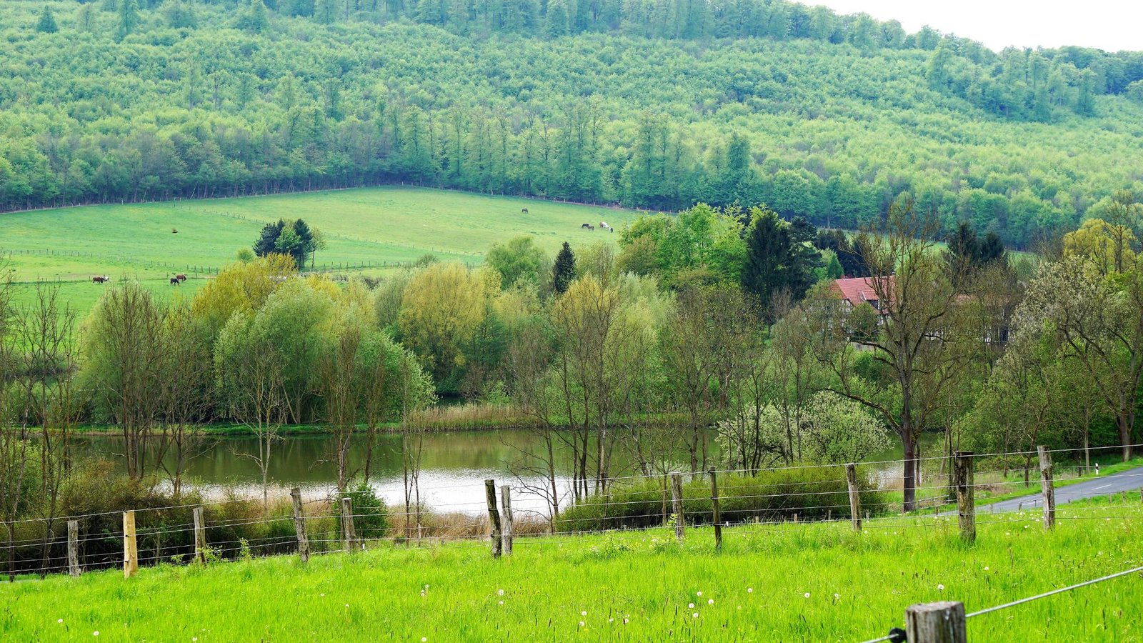 Elm-Lappwald Nature Park